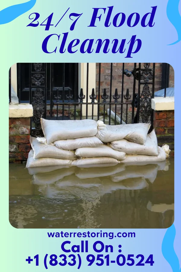 24/7 Flood Cleanup in South Congaree, SC