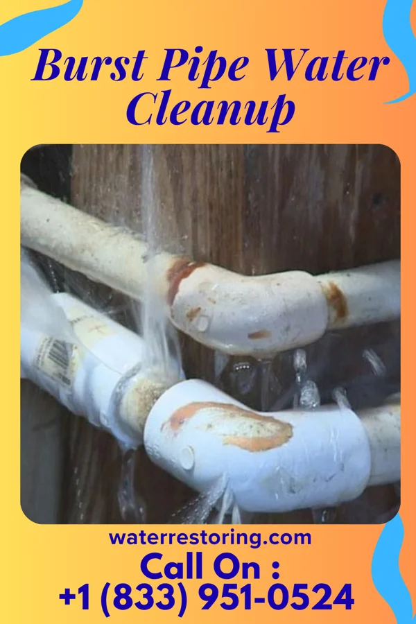Burst Pipe Water Cleanup in South Congaree, SC