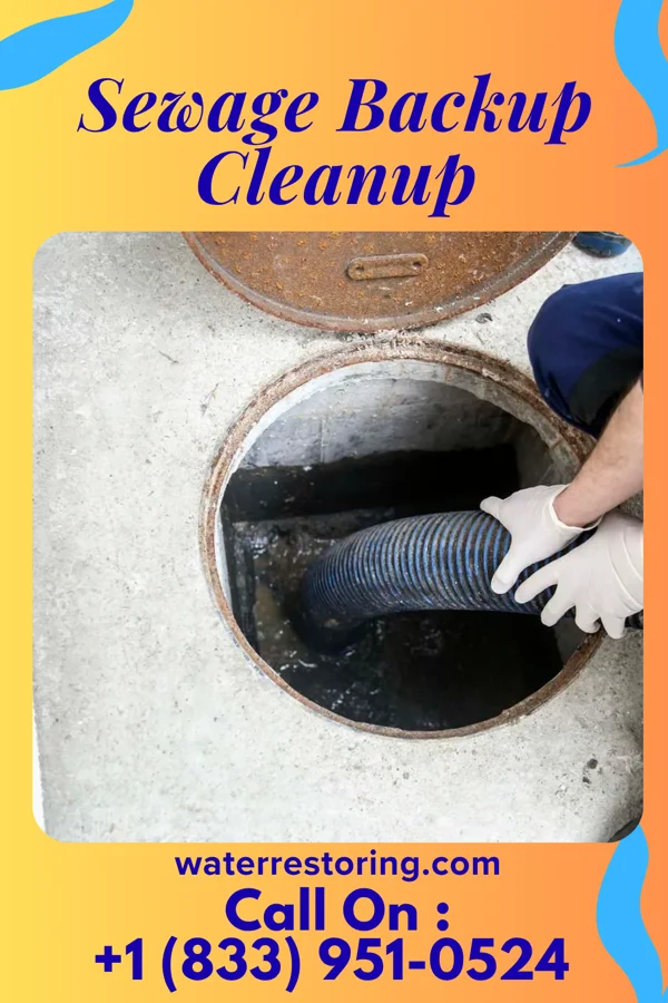 Sewage Backup Cleanup in South Congaree, SC