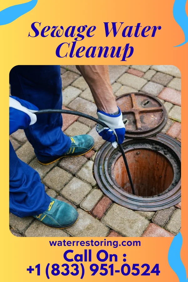 Sewage Water Cleanup in South Congaree, SC